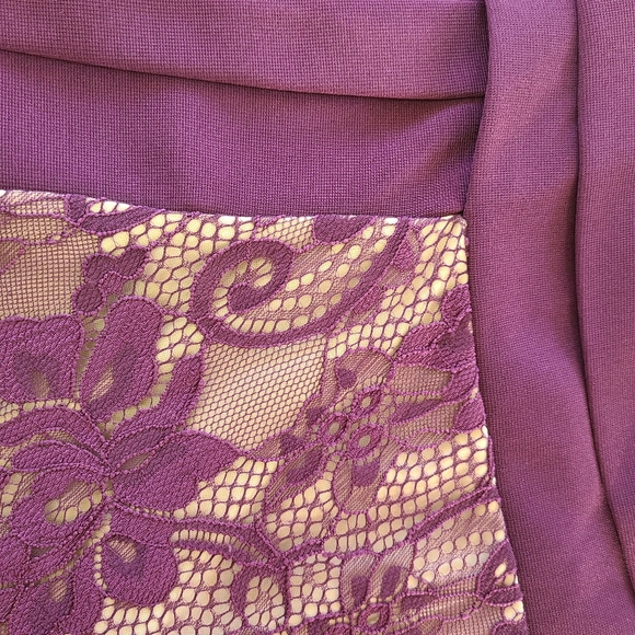 ๐๏ธFrancescas Plum Lace Dress - Picture 3 of 11